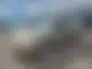 Vehicle Image- 2008 Subaru Impreza