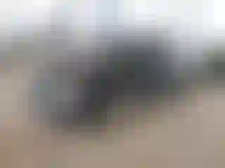 Vehicle Image- 2009 Subaru Impreza