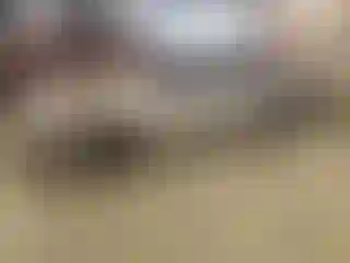 Vehicle Image- 2013 Subaru Impreza