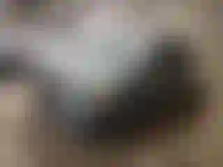 Vehicle Image- 2016 Subaru Impreza