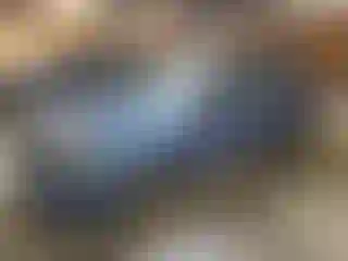 Vehicle Image- 2012 Subaru Impreza