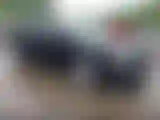 Vehicle Image- 2012 Subaru Impreza