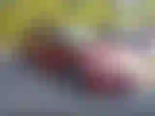 Vehicle Image- 2013 Subaru Impreza