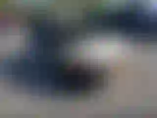 Vehicle Image- 2012 Subaru Impreza