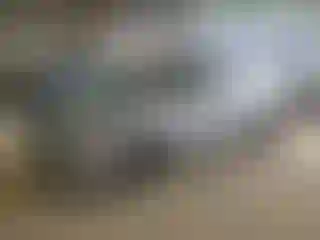 Vehicle Image- 2016 Subaru Impreza