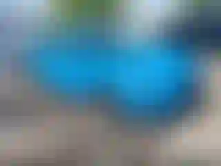 Vehicle Image- 2024 Subaru Impreza