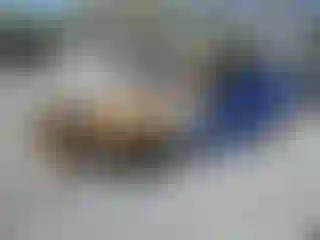 Vehicle Image- 2013 Subaru WRX