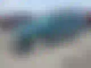 Vehicle Image- 1999 Subaru Forester