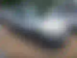 Vehicle Image- 2001 Subaru Forester