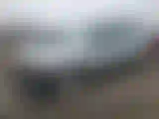Vehicle Image- 2002 Subaru Forester