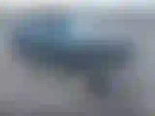 Vehicle Image- 1999 Subaru Forester