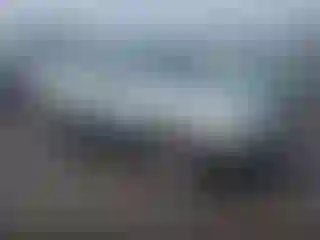 Vehicle Image- 2002 Subaru Forester