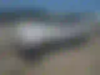 Vehicle Image- 1998 Subaru Forester