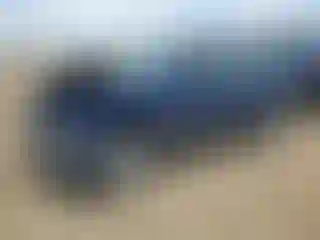 Vehicle Image- 2001 Subaru Forester