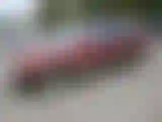 Vehicle Image- 2002 Subaru Forester