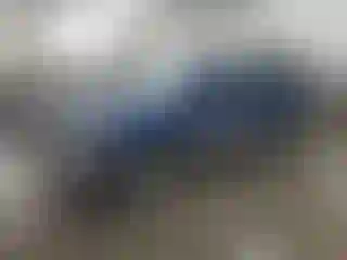 Vehicle Image- 2002 Subaru Forester