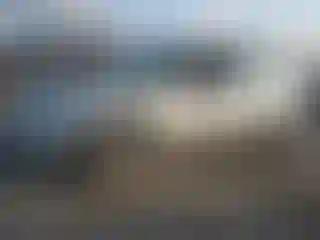 Vehicle Image- 2001 Subaru Forester