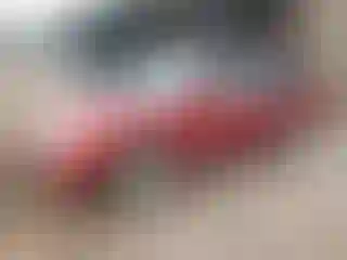 Vehicle Image- 2002 Subaru Forester