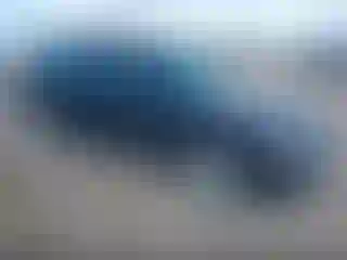 Vehicle Image- 2002 Subaru Forester