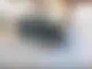 Vehicle Image- 2003 Subaru Forester