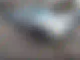 Vehicle Image- 2007 Subaru Forester