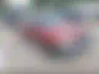 Vehicle Image- 2003 Subaru Forester