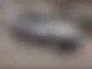 Vehicle Image- 2004 Subaru Forester
