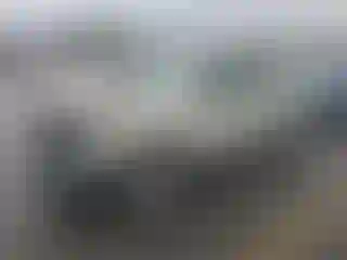 Vehicle Image- 2007 Subaru Forester