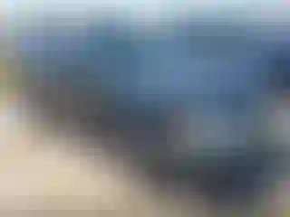 Vehicle Image- 2005 Subaru Forester