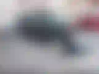 Vehicle Image- 2007 Subaru Forester