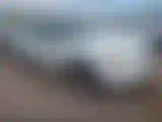 Vehicle Image- 2008 Subaru Forester