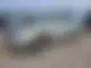 Vehicle Image- 2006 Subaru Forester