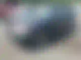 Vehicle Image- 2008 Subaru Forester