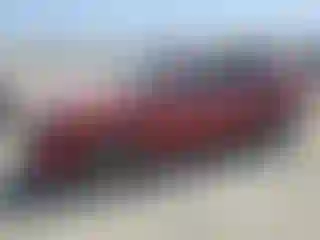 Vehicle Image- 2004 Subaru Forester