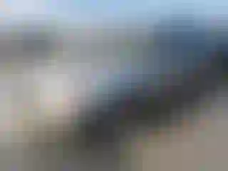 Vehicle Image- 2003 Subaru Forester