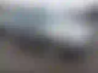Vehicle Image- 2007 Subaru Forester