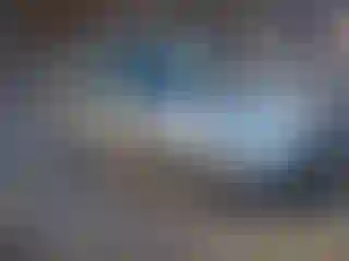 Vehicle Image- 2007 Subaru Forester