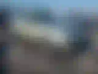 Vehicle Image- 2003 Subaru Forester