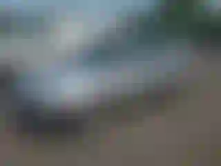 Vehicle Image- 2004 Subaru Forester