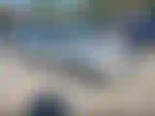 Vehicle Image- 2003 Subaru Forester