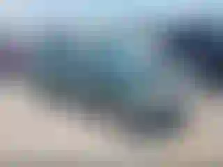 Vehicle Image- 2006 Subaru Forester