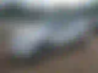 Vehicle Image- 2004 Subaru Forester