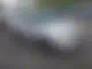 Vehicle Image- 2004 Subaru Forester