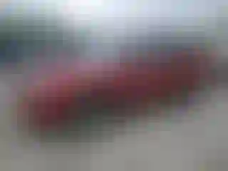 Vehicle Image- 2004 Subaru Forester