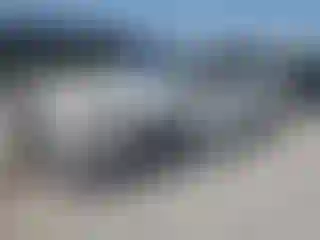 Vehicle Image- 2019 Subaru WRX