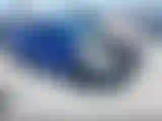 Vehicle Image- 2019 Subaru WRX