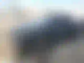 Vehicle Image- 2019 Subaru WRX