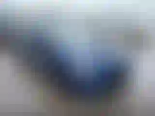 Vehicle Image- 2019 Subaru WRX