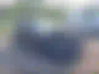 Vehicle Image- 2019 Subaru WRX