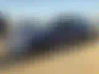 Vehicle Image- 2020 Subaru WRX